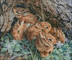 (image for) A herd of Rabbits - Large
