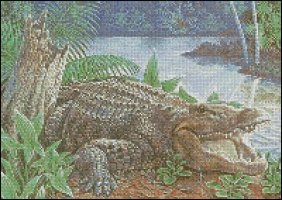 (image for) Alligator
