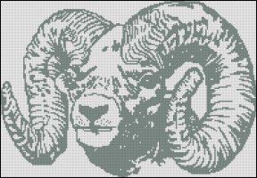 (image for) Bighorned Sheep