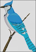 (image for) Blue Jay