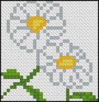 (image for) Daisies - Click Image to Close