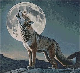 (image for) Howling - Medium Large