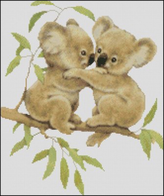 (image for) Little Koalas