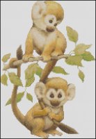 Little Monkeys
