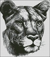 (image for) Monochrome Lion Head