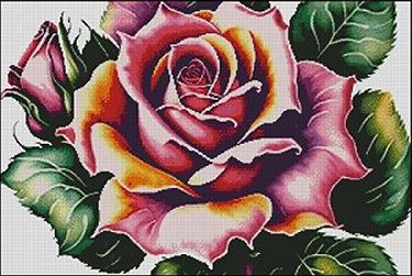 (image for) Rose Close Up - Medium Large