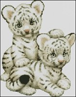 (image for) White Tiger Cubs