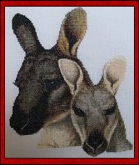 (image for) Eastern Wallaroos