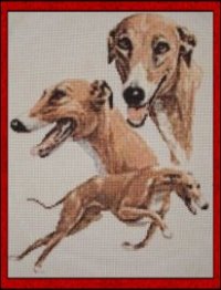 (image for) Greyhounds