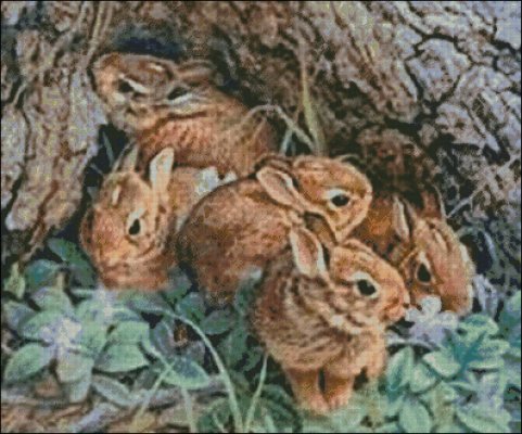 (image for) A herd of Rabbits - Large - Click Image to Close
