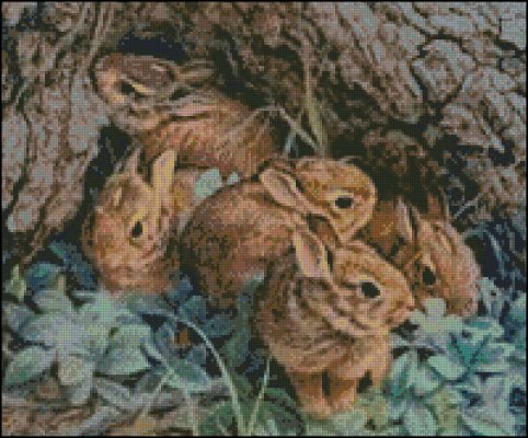 (image for) A herd of Rabbits - Click Image to Close