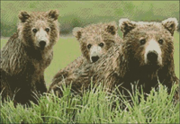 (image for) Bear Family - Click Image to Close