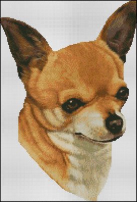 (image for) Chihuahua Head - Click Image to Close
