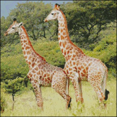 (image for) Giraffes 2 - Click Image to Close