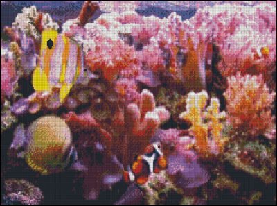 (image for) Great Barrier Reef - Click Image to Close