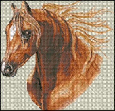 (image for) Horse Head - Click Image to Close