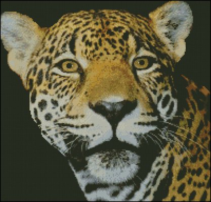 (image for) Jaguar Head - Click Image to Close