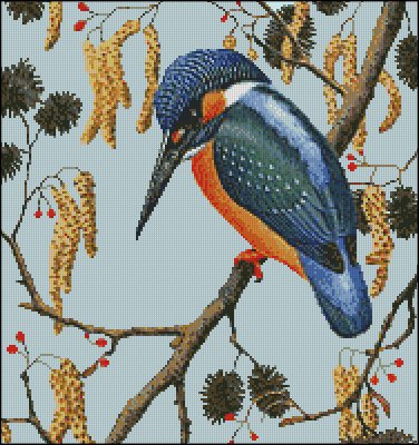 (image for) Kingfisher - Click Image to Close