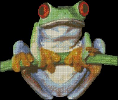 (image for) Red Eyed Green Tree Frog - Click Image to Close