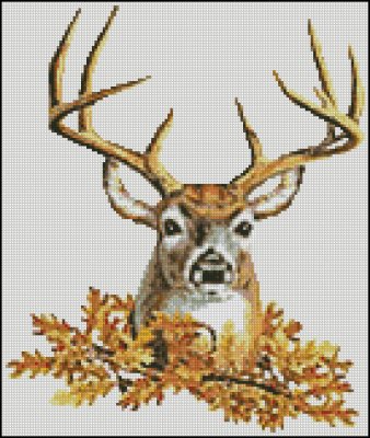 (image for) Stag - Click Image to Close