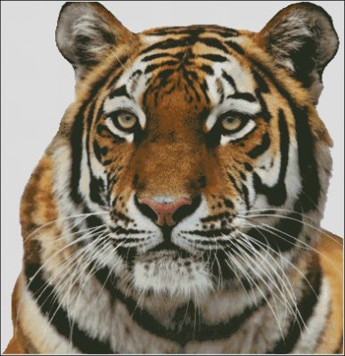 (image for) Tiger - Large - Click Image to Close