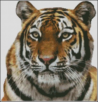 (image for) Tiger - Click Image to Close